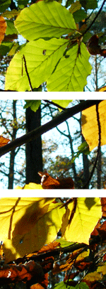 Redaktionsbüro Startseite