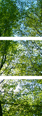 Redaktionsbüro Portfolio