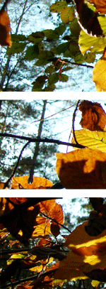 Redaktionsbüro Referenzen