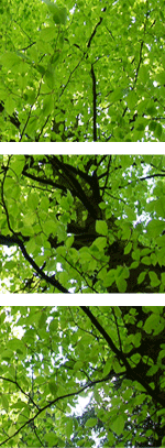 Redaktionsbüro Kontakt